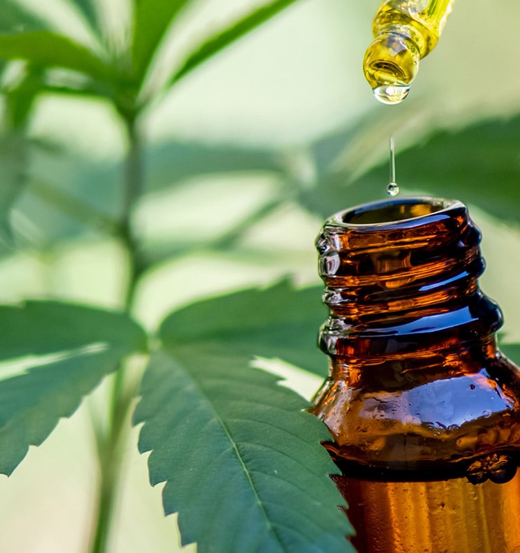 Merchant accounts and credit card processing for CBD