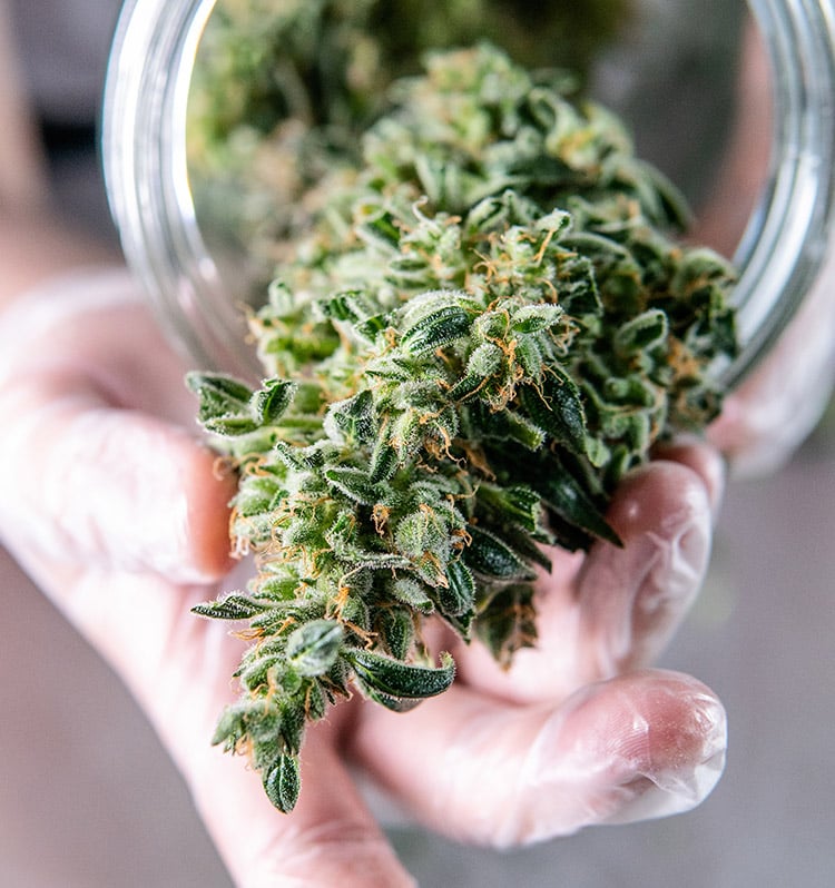 Cannabis Merchant Account Support