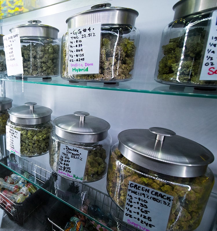 CBD/Cannabis Payment Processing